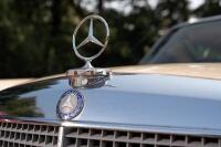 1971 Mercedes-Benz 250 CE (W114) - 11