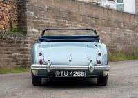 1963 Austin Healey 3000 Mk. IIA BJ7 - 5