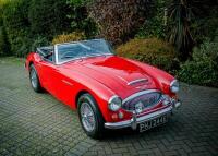 1967 Austin Healey 3000 Mk. III BJ8 Phase II