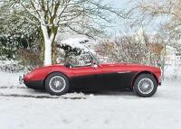 1955 Austin Healey 100/4 M BN2L - 3