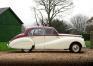 1955 Armstrong Siddeley Sapphire - 4