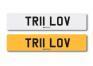 Registration number TR11 LOV