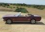 1965 Ford Mustang Convertible (289ci) - 3