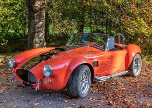 2007 Backdraft RT4 Cobra Roadster