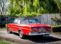 1964 Mercedes-Benz 300 SE Cabriolet - 3