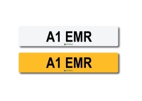 Registration A1 EMR